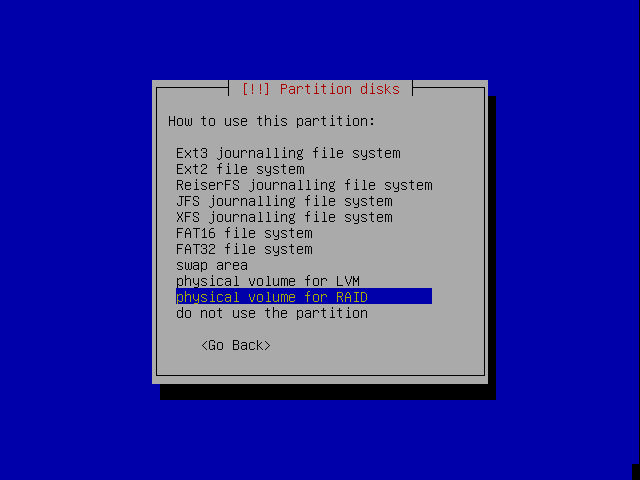 use it as a physical RAID volume